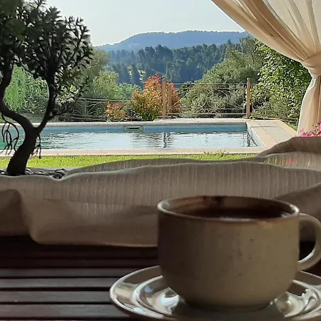 Traditional Stone House Siviri